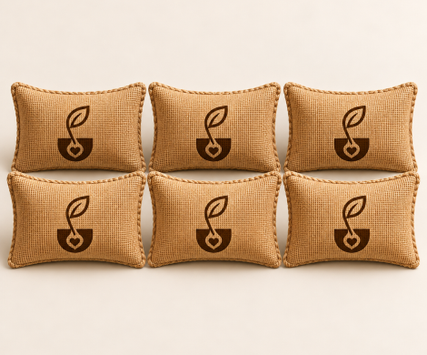 6 Pack (Large)