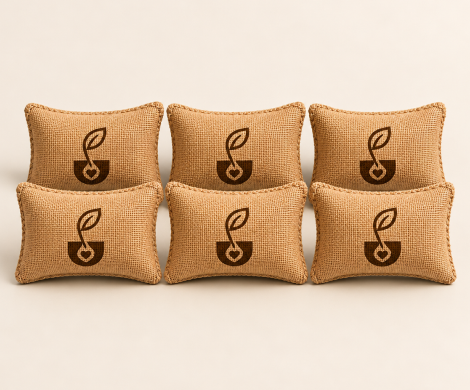 6 Pack (Medium)